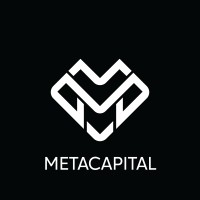 MetaCap AI Agency logo - Similar company to See It Studios