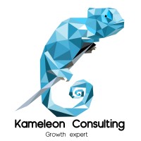 Kameleon Consulting logo - Similar company to Kameleon Consulting, Llc