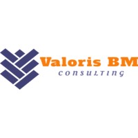 Valoris BM Consulting Sarl logo - Similar company to Activecom