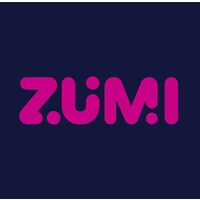 ZUMI logo - Similar company to Rapid Tech Insights