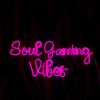 Soul Gaming Vibes logo - Similar company to Freehub Media