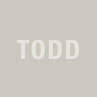 Todd Partners logo - Similar company to Todd