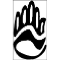Hand Therapy Solutions