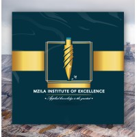 Mzila Institute Excellence logo - Similar company to Techpioneers Project