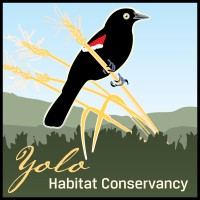 Yolo Habitat Conservancy logo - Similar company to Bickmore
