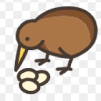 KiwiCoding logo - Similar company to Stembuddy Coding & Robotics Education