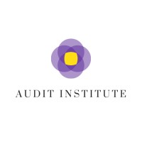 Audit Institute logo - Similar company to Sanctions Hub