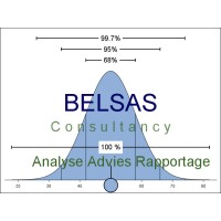Belsas Consultancy logo - Similar company to Sersoft
