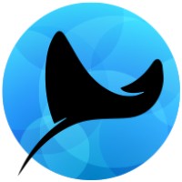 CyRay logo - Similar company to Cyfluencer