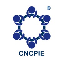 Colegio Nacional De Consejeros Profesionales Independientes De Empresas A.C. logo - Similar company to Vantis