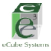eCube Systems logo - Similar company to Leadthem Consulting