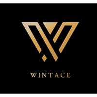 Foshan Wintace Co.,Ltd. logo - Similar company to Shenzhen Wisdom Light Co.,Ltd.