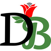 Digital Bloomz logo - Similar company to Guardian Technology Solutions