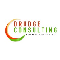 Drudge Consulting logo - Similar company to Zepama Technology Ltd