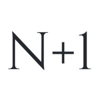 N+1 Consulting
