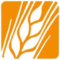 International Grain Summit logo - Similar company to Parità Export