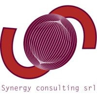 Synergy Consulting It