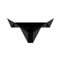 Phaidon International logo - Similar company to Selby Jennings