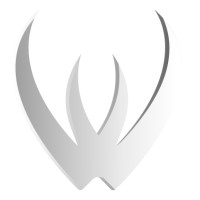 Webduel logo - Similar company to Lumosage