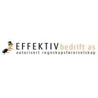 Effektiv Bedrift AS logo - Similar company to Borg Revisjon As