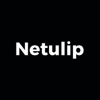 Netulip logo - Similar company to Hostarts