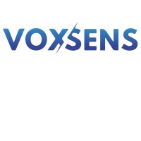 Voxsens logo - Similar company to 109Sens