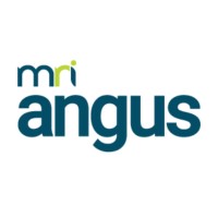Angus Systems logo - Similar company to Broadstreet Data