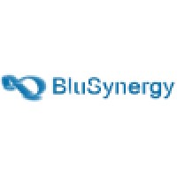 BluSynergy-India logo - Similar company to Blusynergy