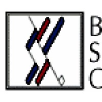Borhart Spellmeyer & Company, LLC logo - Similar company to Cherrytree Holdings Inc.