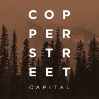 Copper Street Capital LLP logo - Similar company to Saranac Partners
