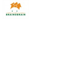 Brainobrain Europe Official logo - Similar company to Brainobrain Norway As