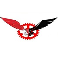 Team Raptor Racing logo - Similar company to Dataloves