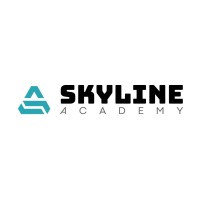 Skyline Academy logo - Similar company to Reform Marketing Solutions Ltd