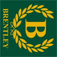 Brentley Industries Pvt Ltd logo - Similar company to Doolen Strategy Partners