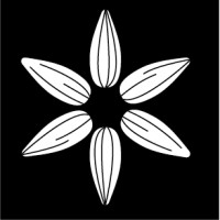 Heshima Seeds Limited