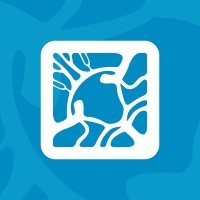 Insight Health Foundation of California logo - Similar company to Jesters