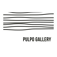 PULPO GALLERY logo - Similar company to Plug