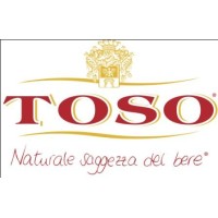 Toso S.p.A. logo - Similar company to Hmx, Llc