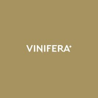 Vinifera logo - Similar company to Vinisfera