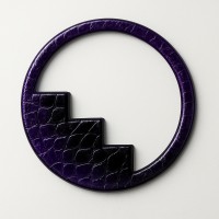 Servo Clínica logo - Similar company to Lot Internacional