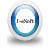 T-eSoft Group logo - Similar company to Flejay Canada- Recruiting And Consulting