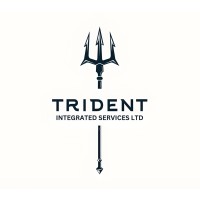 Trident Integrated Services LTD logo - Similar company to Pegasus Solutions Ai