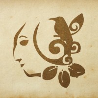 Co'ox Mayab logo - Similar company to Chante !