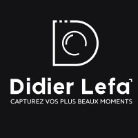 Didier Lefa Studio logo - Similar company to Mounir Holding