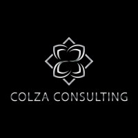 Colza Consulting LLC logo - Similar company to Your Vanity Realty