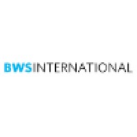 BWS International Ltd logo - Similar company to Internebest