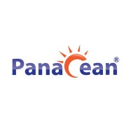 Panacean Energy Solution Pvt. Ltd. logo - Similar company to Digital Scorpions