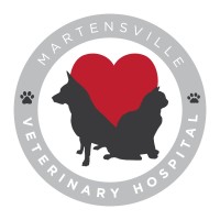 Martensville Veterinary Hospital logo - Similar company to Driveway Paving