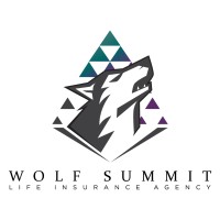 Wolf Summit Life Insurance Agency logo - Similar company to Str Directors
