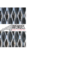 Avenues Access Systems Inc.